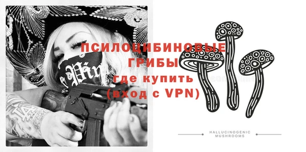винт Касимов
