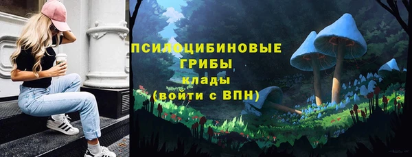 винт Касимов