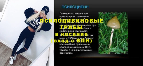 винт Касимов